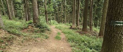 Kostrza ↔ Rozejście szlaków