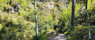 Nad Hájkovou roklí, rozc.