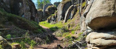 Ovčín, odbočka k vyhlídce ↔ Ovčín