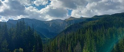 Zahradziska ↔ Przysłop Miętusi