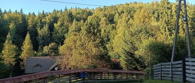 Abrahamów, rozejście szlaków ↔ Cięcina Gronie