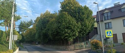 Nielepice, ul. Kmieci