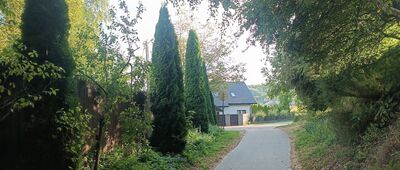 Nielepice ↔ Nielepice, odejście do skały z krzyżem