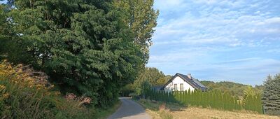 Nielepice, odejście do skały z krzyżem