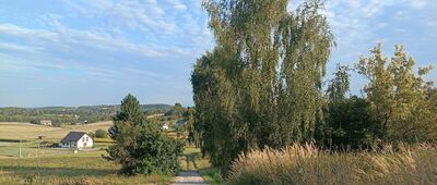 Nielepice, odejście do skały z krzyżem ↔ Nielepice, skała z krzyżem