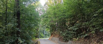 Nielepice, ul. Dębowa ↔ Nielepice, ul. Spacerowa