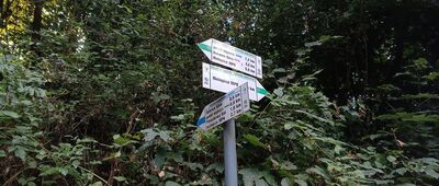 Nielepice, ul. Dębowa