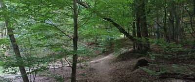 Nad Pierunkowym Dołem ↔ Pańskie Kąty