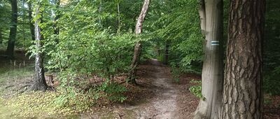 Nad Pierunkowym Dołem