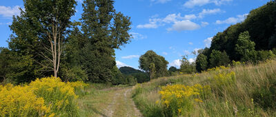 Wojcieszów, ul. Kochanowskiego ↔ Rezerwat Góra Miłek