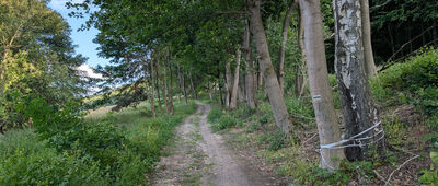 Wojcieszów, ul. Kochanowskiego ↔ Rezerwat Góra Miłek