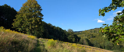 Rezerwat Góra Miłek ↔ Rozejście szlaków