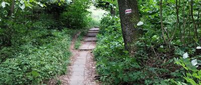 Iwonicz-Zdrój ↔ Iwonicz-Zdrój, ul. Ogrodowa [Czerwony Szlak - Kierunek z Iwonicza]