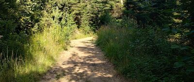 Iwonicz-Zdrój, ul. Ogrodowa ↔ Dolina Kościółkowej Wody