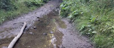 Dolina Kościółkowej Wody [Jedyna trudniejsza okolica na szlaku.]