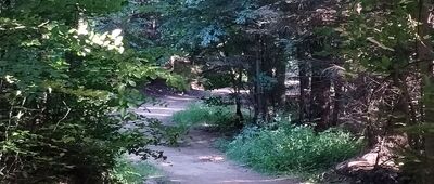 Pod Mogiłą ↔ Pod Mogiłą