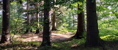 Pod Mogiłą ↔ Rymanów-Zdrój, ul. Słoneczny Stok