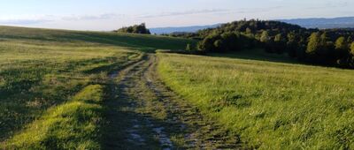 Pod Uhliskami ↔ Rozejście szlaków pod Glorietą