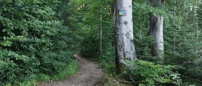 Rozejście szlaków ↔ Rozejście szlaków pod Glorietą