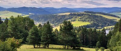 Sromowce Wyżne, Kąty ↔ Przełęcz Trzy Kopce [Magura Spiska z zejścia czerwonym szlakiem]