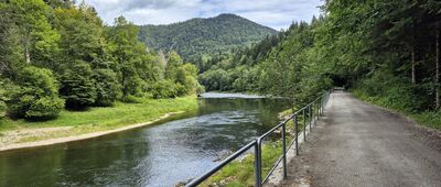 Czerwony Klasztor ↔ Huta [Droga Pienińska]