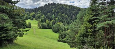 Huta ↔ Przełęcz Limierz [Polany pod Targovem]