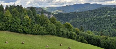 Leśnica, rozejście szlaków ↔ Przełęcz Limierz [Pola nad Leśnicą]
