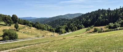 Studzionki ↔ Pod Kotelnicą [Zjazd do Ochotnicy ze Studzionki]