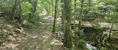 Polana Kolasikowa [Łopuszanka w okolicy Polany Kolasikowej]