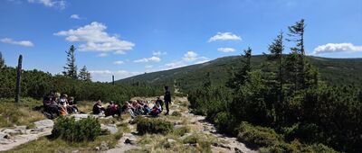 Pod Małym Szyszakiem ↔ Słonecznik