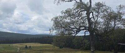 Przy Chatce Górzystów