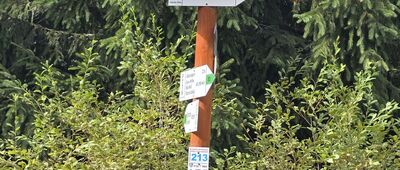 Rozdroże pod Zwaliskiem