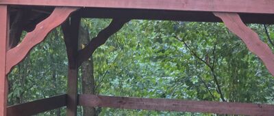 Przełęcz Książnicka