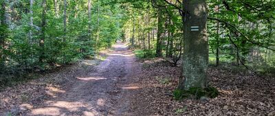 Bożejów ↔ Nowa Bogacica, kościół [Bory Stobrawskie k. Bożejowa]