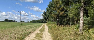 Wołów, cmentarz ↔ Stary Wołów