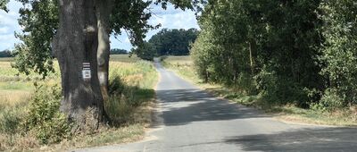 Stary Wołów, rozejście szlaków ↔ Kretowice