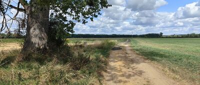 Kretowice ↔ Bożeń, Rów Stawowy