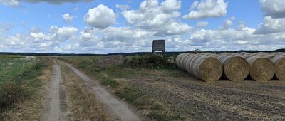 Bożeń, Rów Stawowy ↔ Moczydlnica Dworska