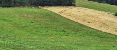 Malá Homole, rozc. ↔ Šonov, rozc.