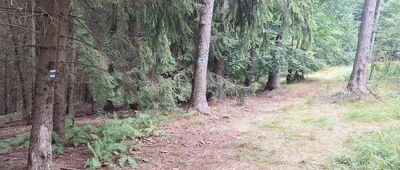 Malá Homole, rozc. ↔ Homole