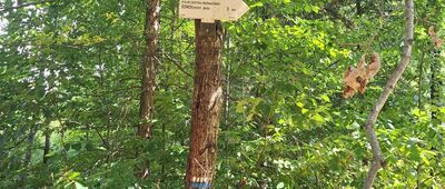 Homole ↔ Pod Ptasim Szczytem