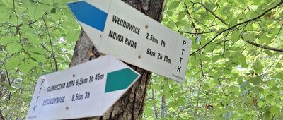 Pod Ptasim Szczytem [No właśnie. Brakuje kierunku na Tłumaczów. i nic dziwnego bo trasa przynajmniej do drogi PL/CZ Tłumaczówek jakby nie istniała.....]