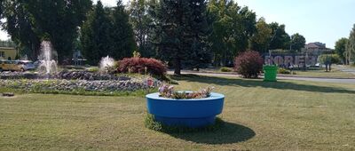 Zazdrość ↔ Poręba