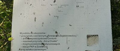 Zawiercie, Józefów, staw