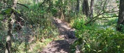 Zawiercie, Józefów, staw ↔ Zawiercie, Józefów, skrzyżowanie