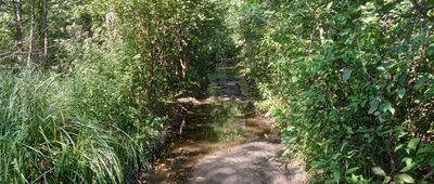 Chechło, ul. Leśna ↔ Błędów