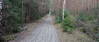 Rozejście szlaków ↔ Golczowice