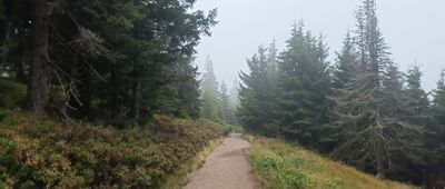 Sadzonki ↔ Przy przełęczy Stříbrnická