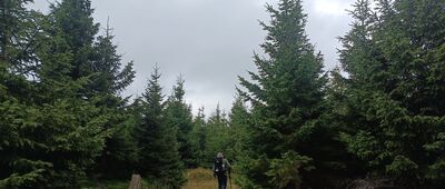 Tetřeví hora, sedlo