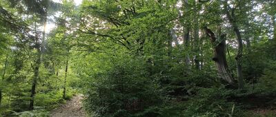 Czupel ↔ Przełęcz pod Czuplem